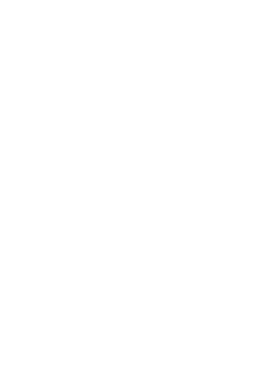 logo2